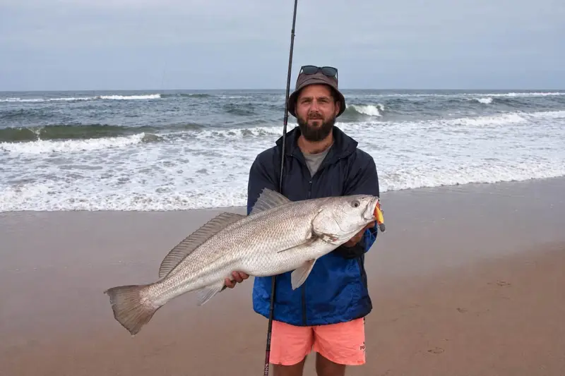 Boeta Louw holding a large kob horizontally in front of the surf